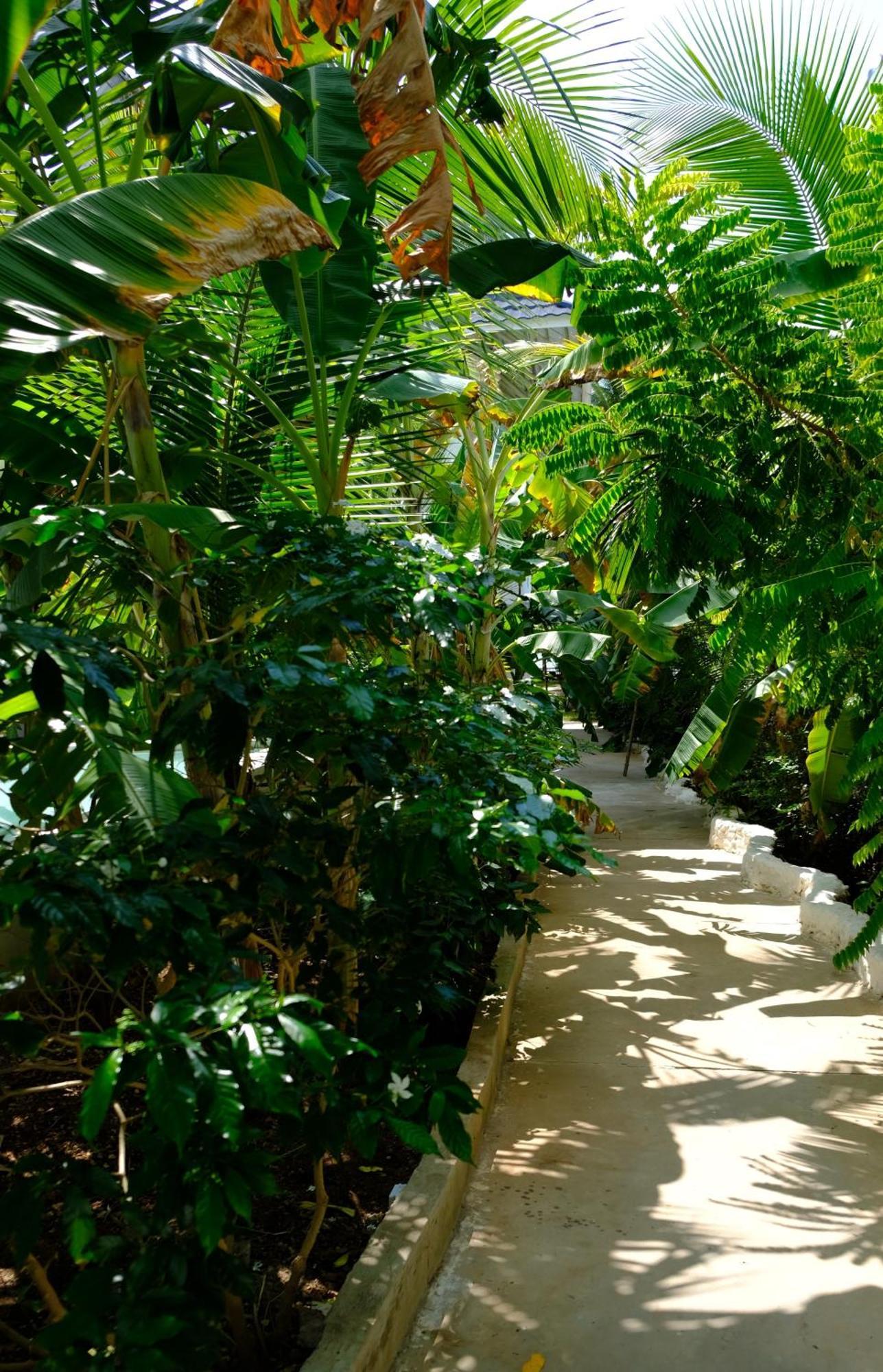 Kobe House Jambiani (Zanzibar) Exterior foto